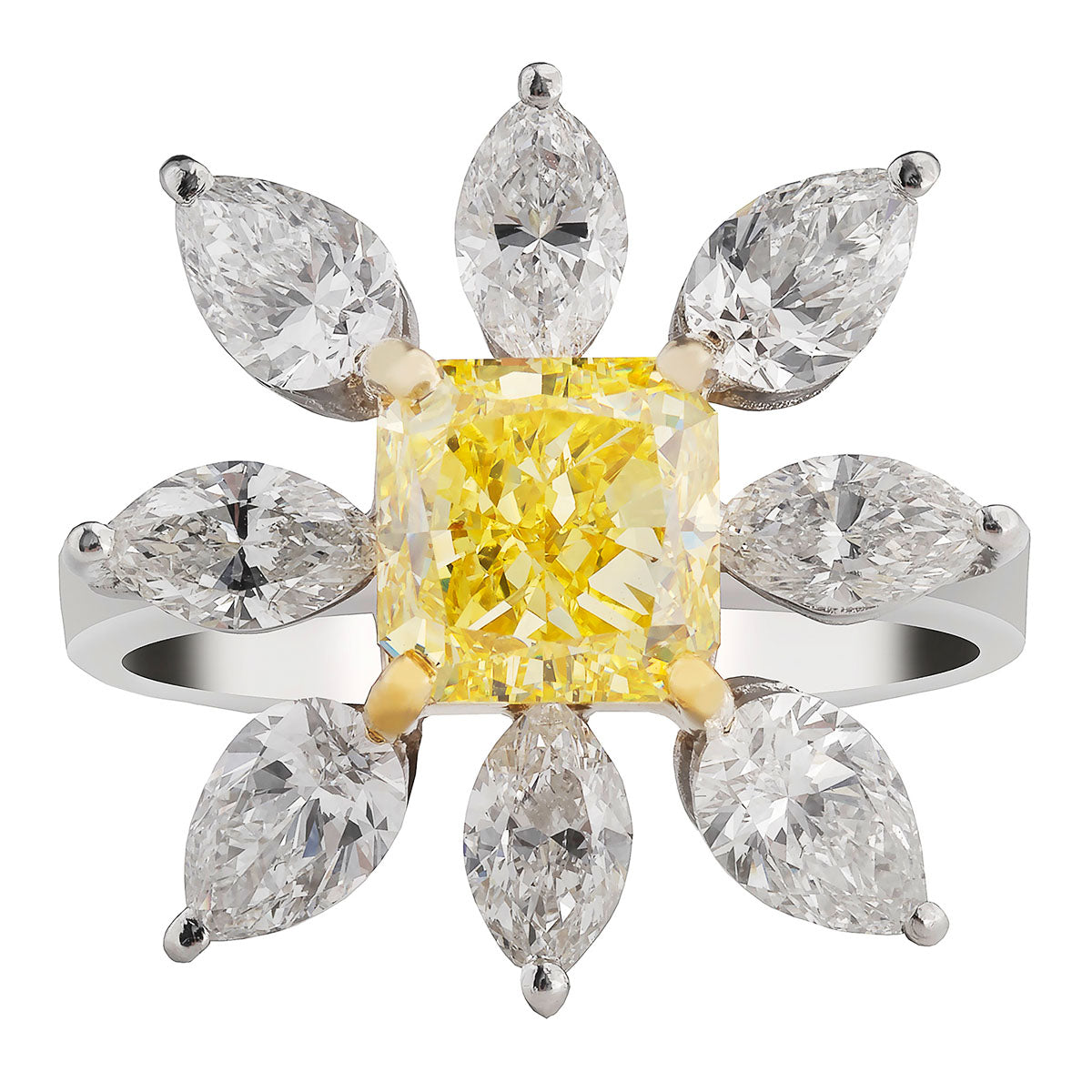 Northern Cross Argyle Mine Diamond Suite (3 Piece)